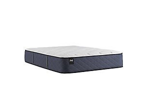 Sealy Surrey Lane II Firm Twin Mattress, Navy, large