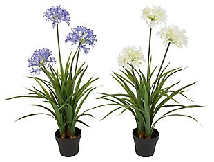 Decorative Assorted Artificial Agapanthus In Pot (set Of 2), , large