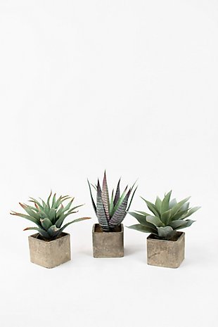 Set of Three Large Artificial Succulents In Square Pots, , large