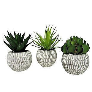 Set of 3 Succulents in Deco Concrete Pots, , large